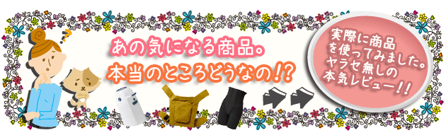 レビュー